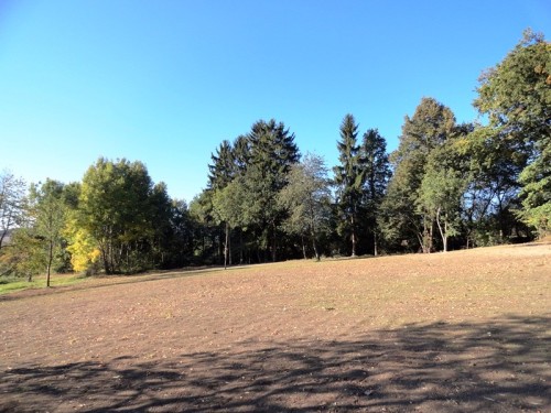 Plocha budoucí štěpnice připravená k výsadbě, říjen 2012